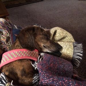 Meet your Posher, Karen